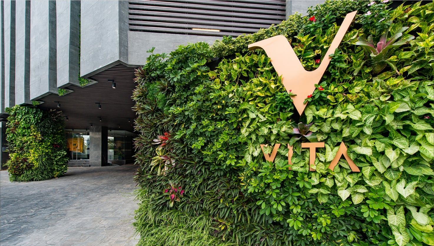 Vita